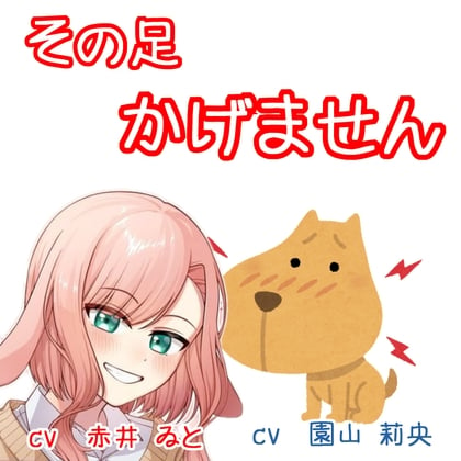 Cover of その足かげません